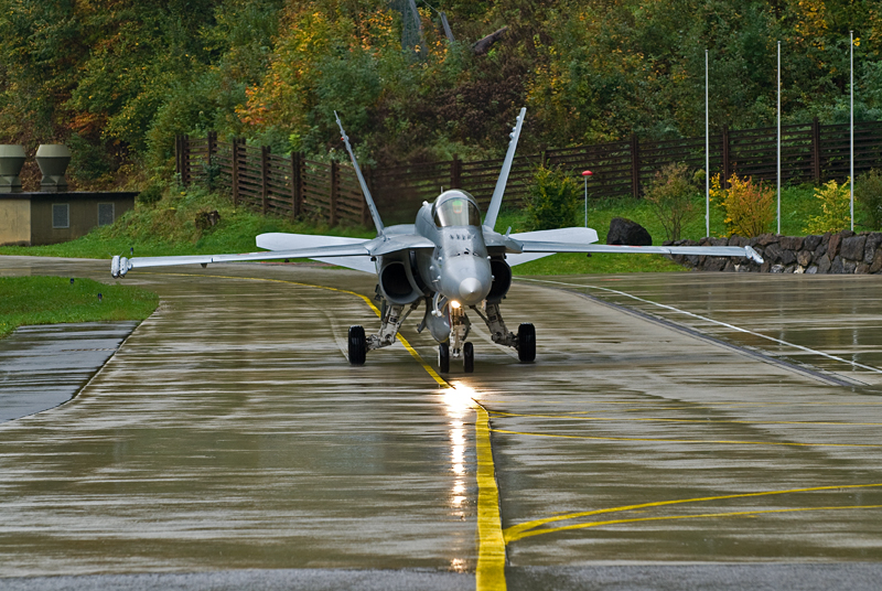 73_Meiringen_FA-18C Hornet.jpg